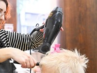 5 consejos para potenciar el nacimiento del cabello