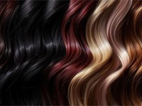 ¿Cómo saber qué colores de pelo me favorecen más?