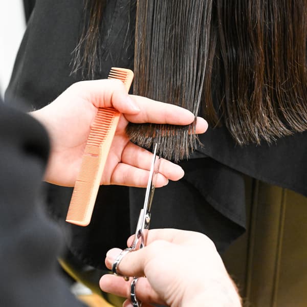 Especialistas en peluqueria